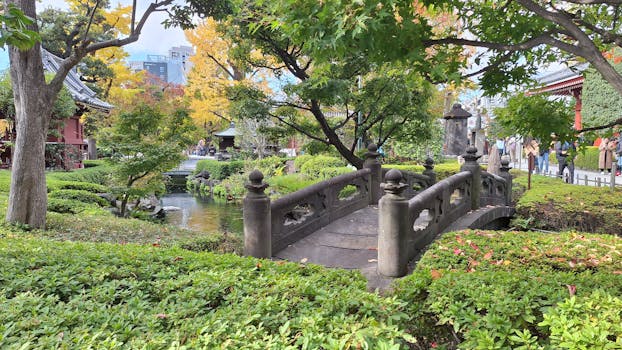 Tokyo, Japan photo 3