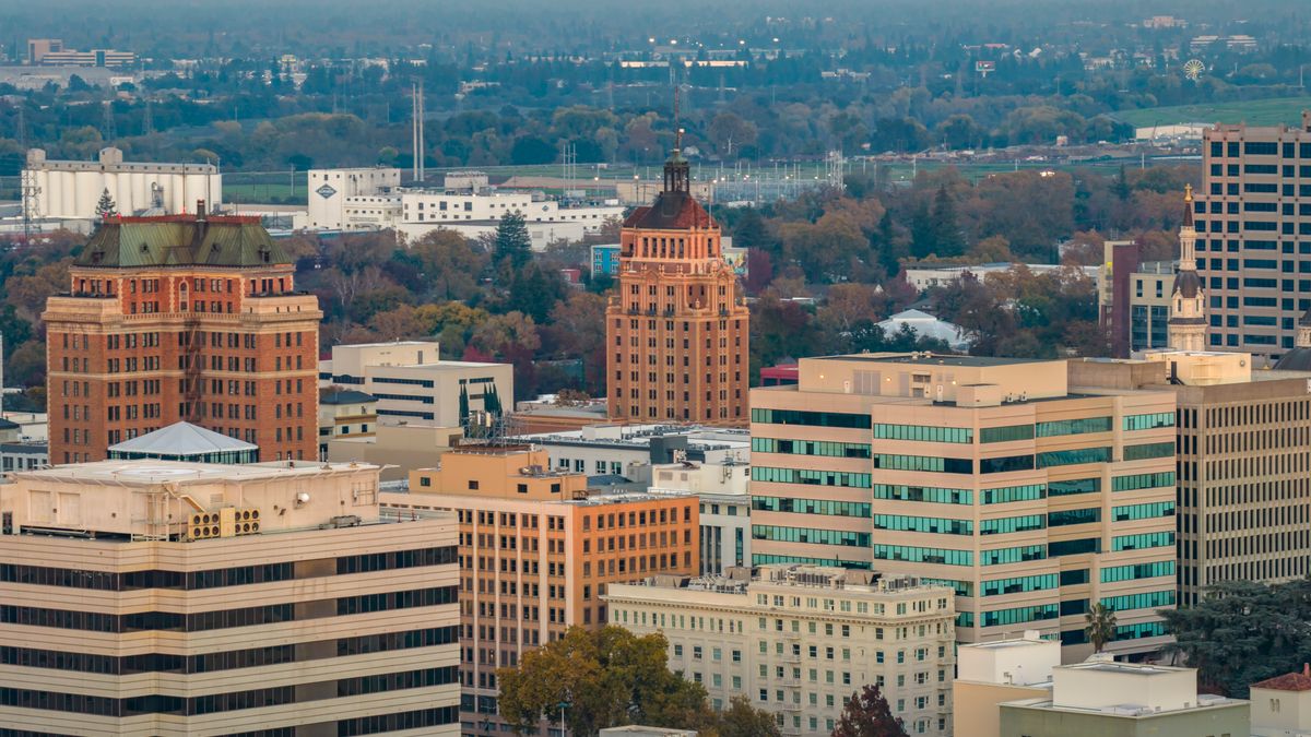Pet Product Giveaways in Bakersfield, CA: Updated 2026 List for Local Winners