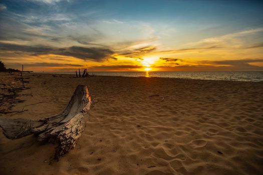 Capture of a serene beach sunset with a driftwood centerpiece and vibrant sky.