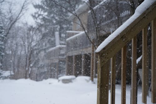 Free stock photo of backyard snow