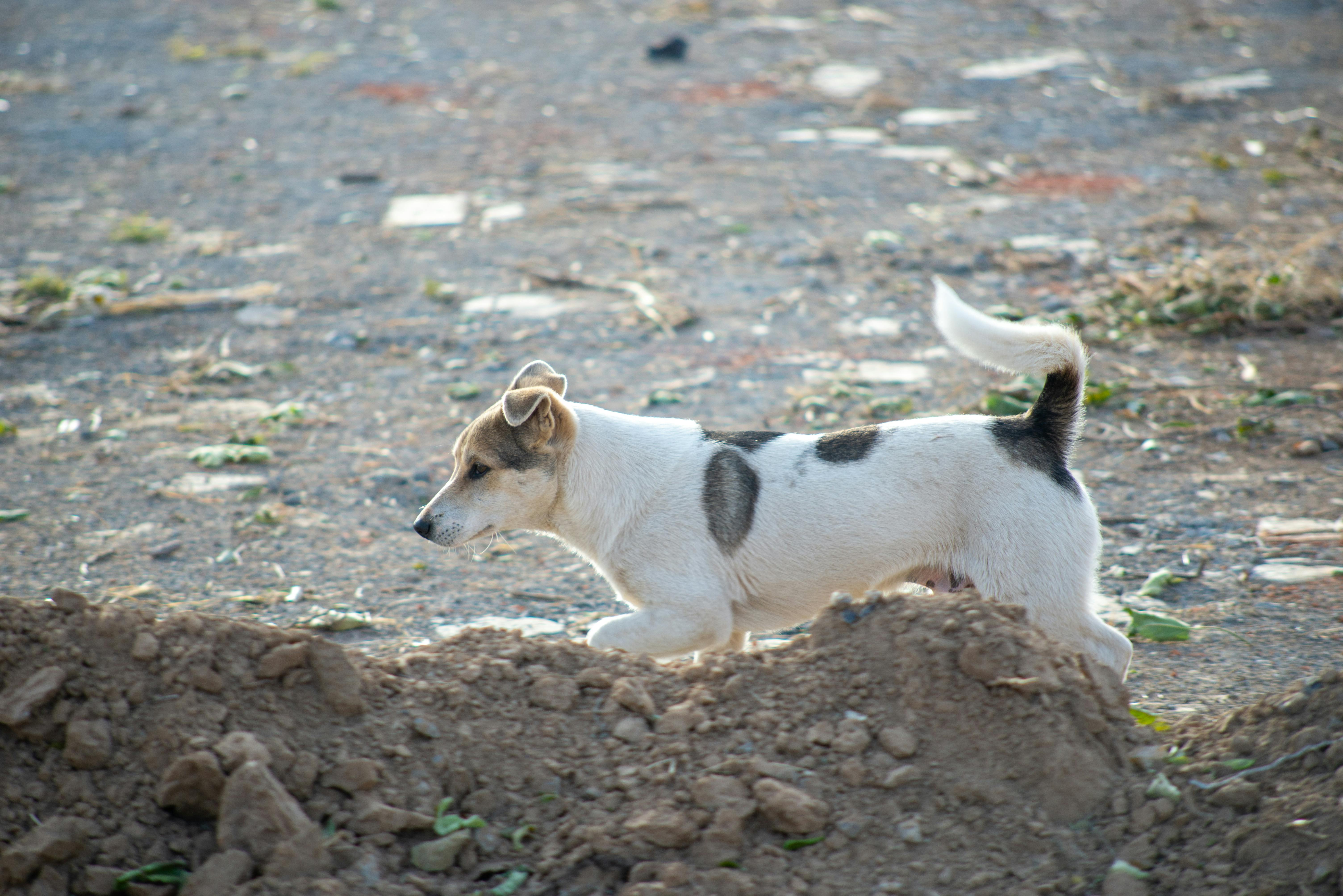 生活：《B&B》反派山田麗莎露娜退出後迎來最美好人生
