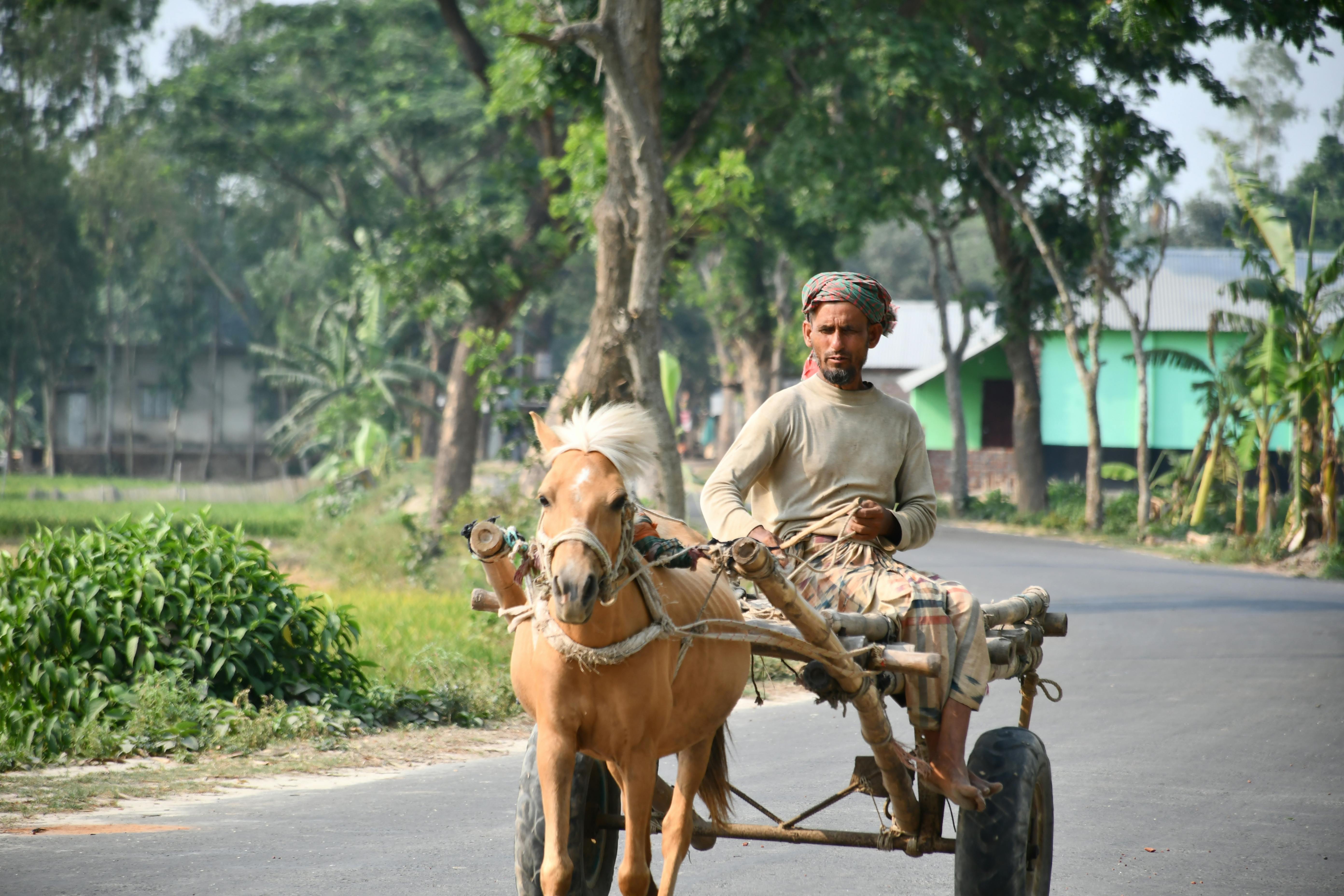 No description available