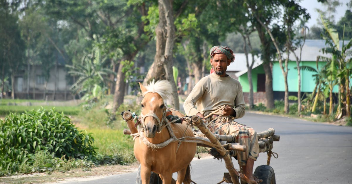 No description available