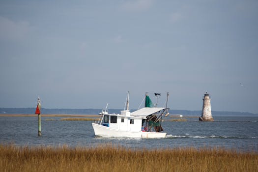 Upolu Island, Samoa photo 12