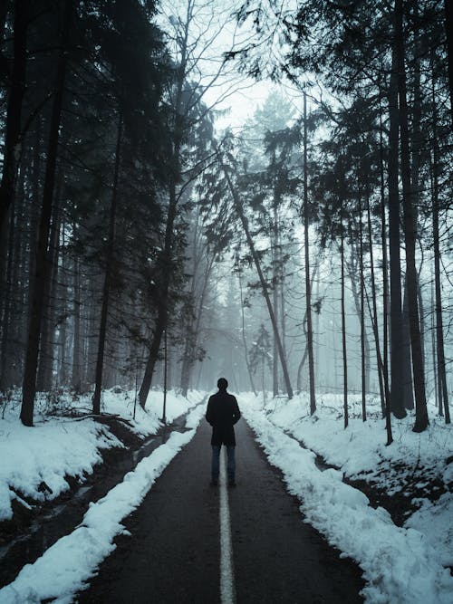 Человек в черной куртке идет по заснеженной тропе между деревьями