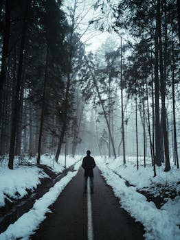 冬日里，雾气缭绕的森林小路上，独自站着一个人，营造出一种喜怒无常的氛围