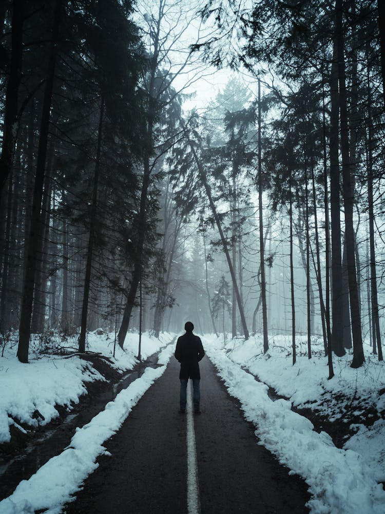 Back View Of Person Standing On Country Road Between Trees