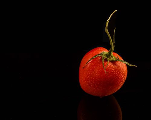 Free Studio shot of a fresh tomato with water droplets against a dark black background, showcasing its vibrant color. Stock Photo
