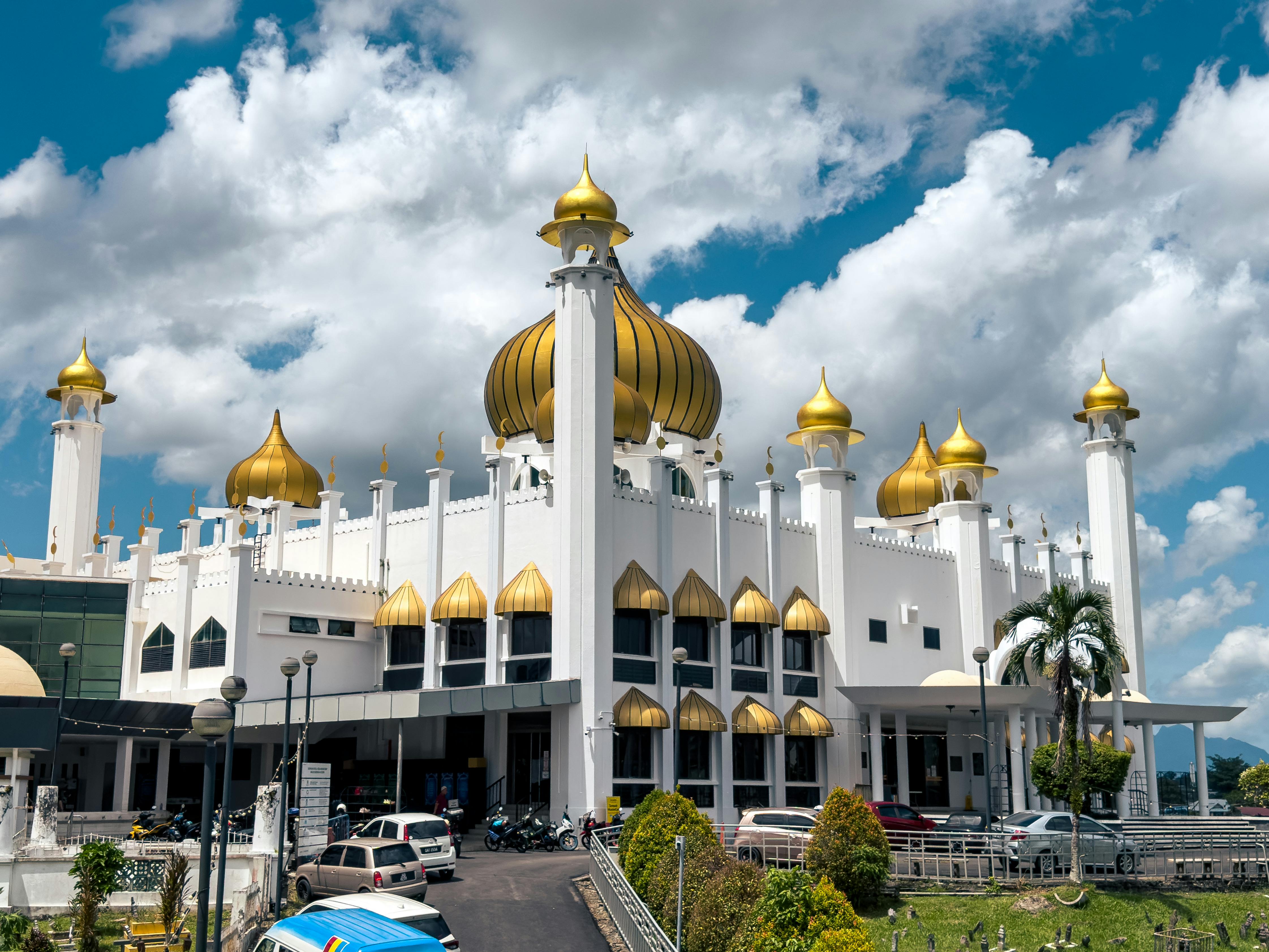 The Rise of the Islamic State in Mozambique