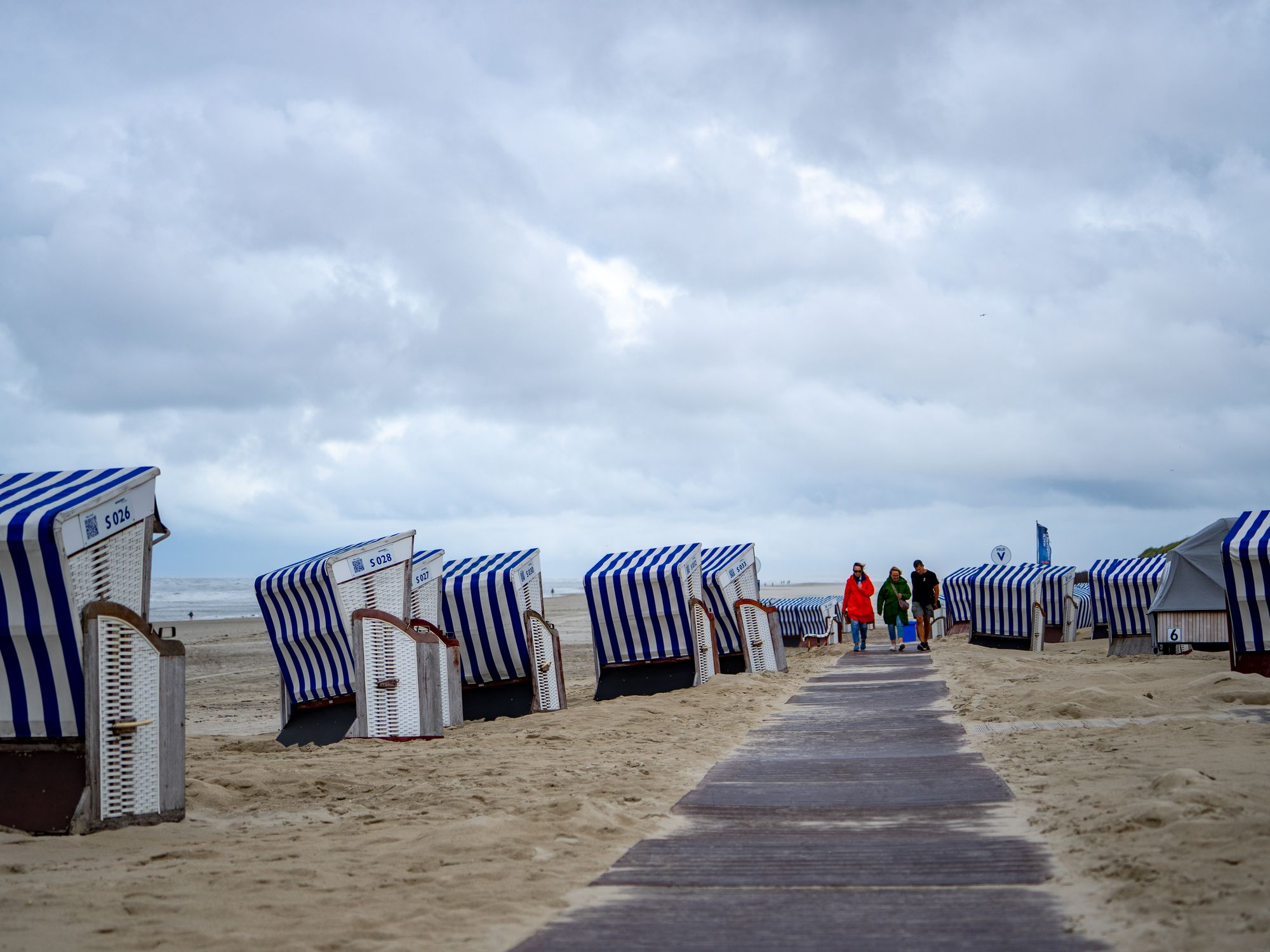 House Removals in Appledore, South West — professional movers carrying furniture on a house move