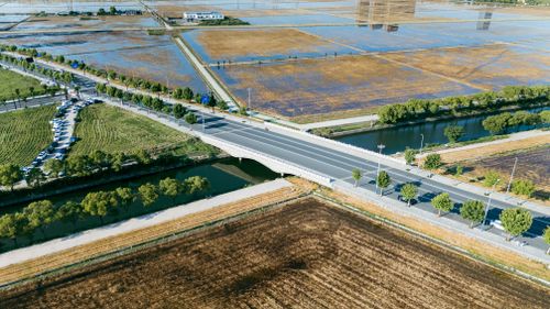 Free Aerial shot of lush paddy fields with a connecting bridge in Hangzhou, China. Stock Photo
