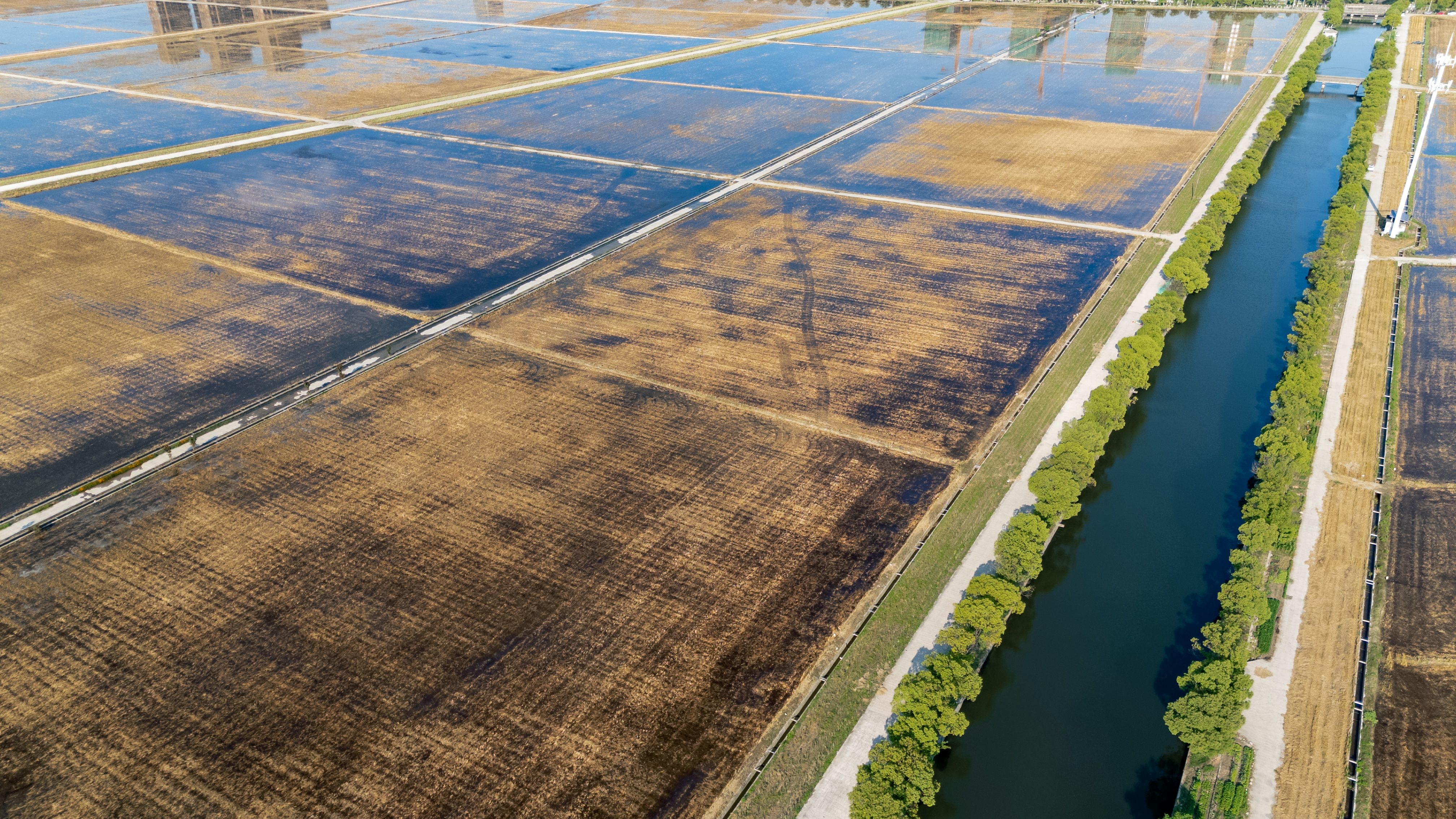 Parco del Ticino & the Rice Paddies Circuit