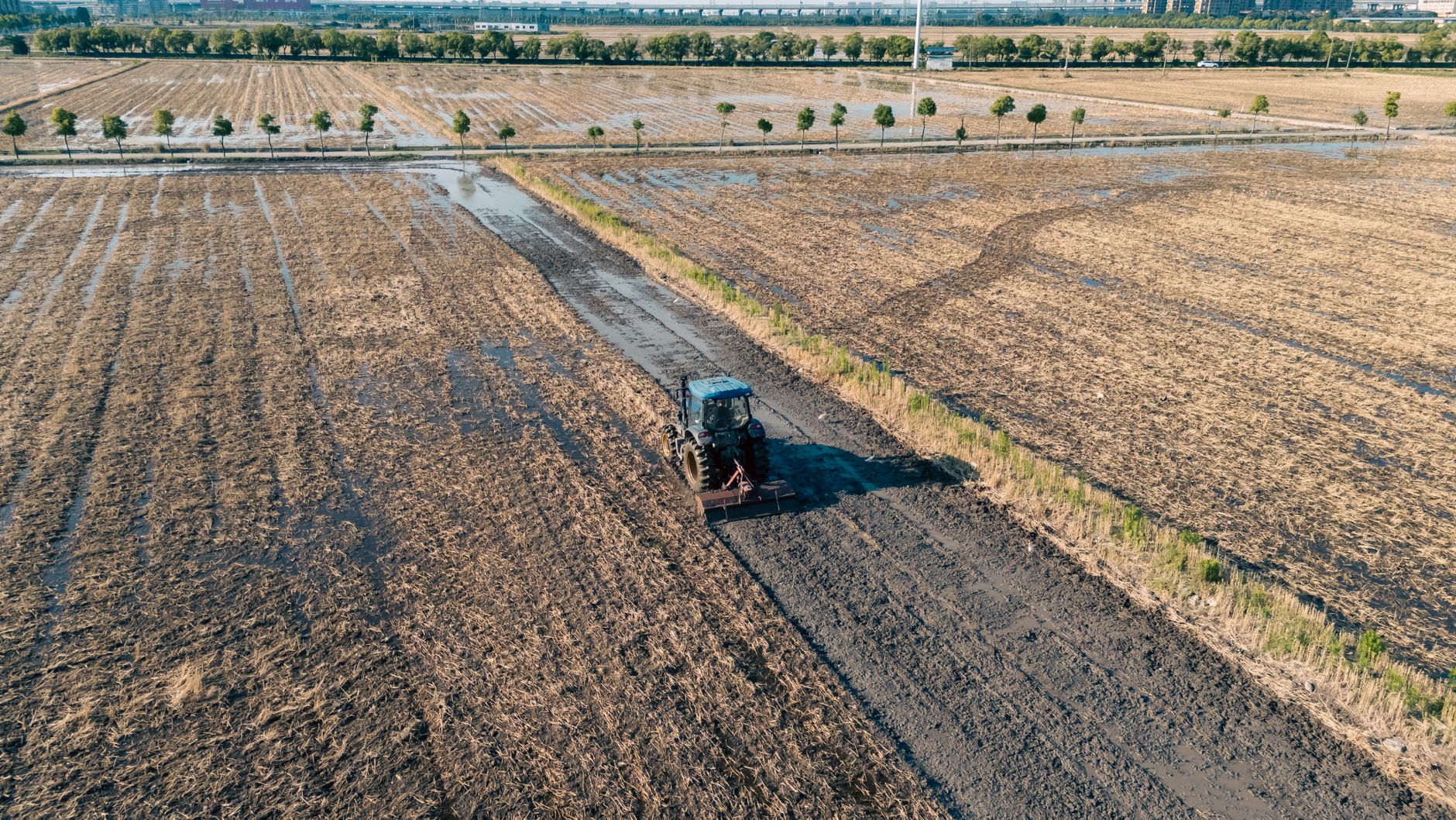 Aerial shot of a tractor plowing a wet field in Hangzhou, Zhejiang, China.