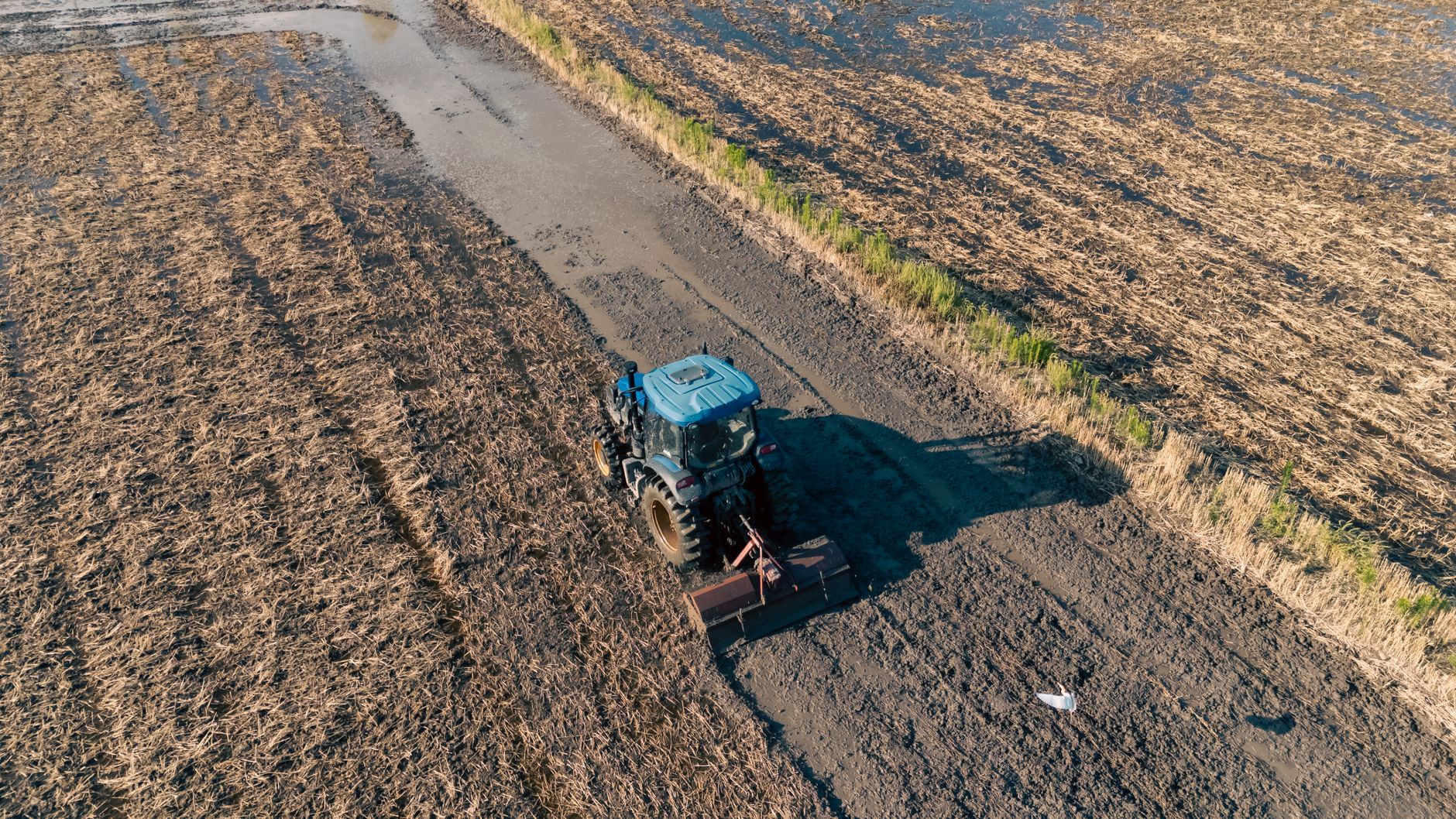 Aerial view of a tractor working in a muddy field in Hangzhou, China during the day.