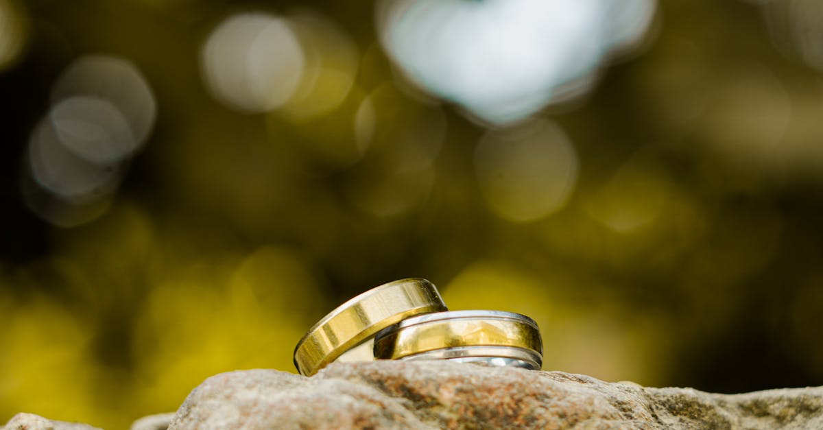 財經:多國央行計畫增持黃金與歐元 強化外匯儲備多元化