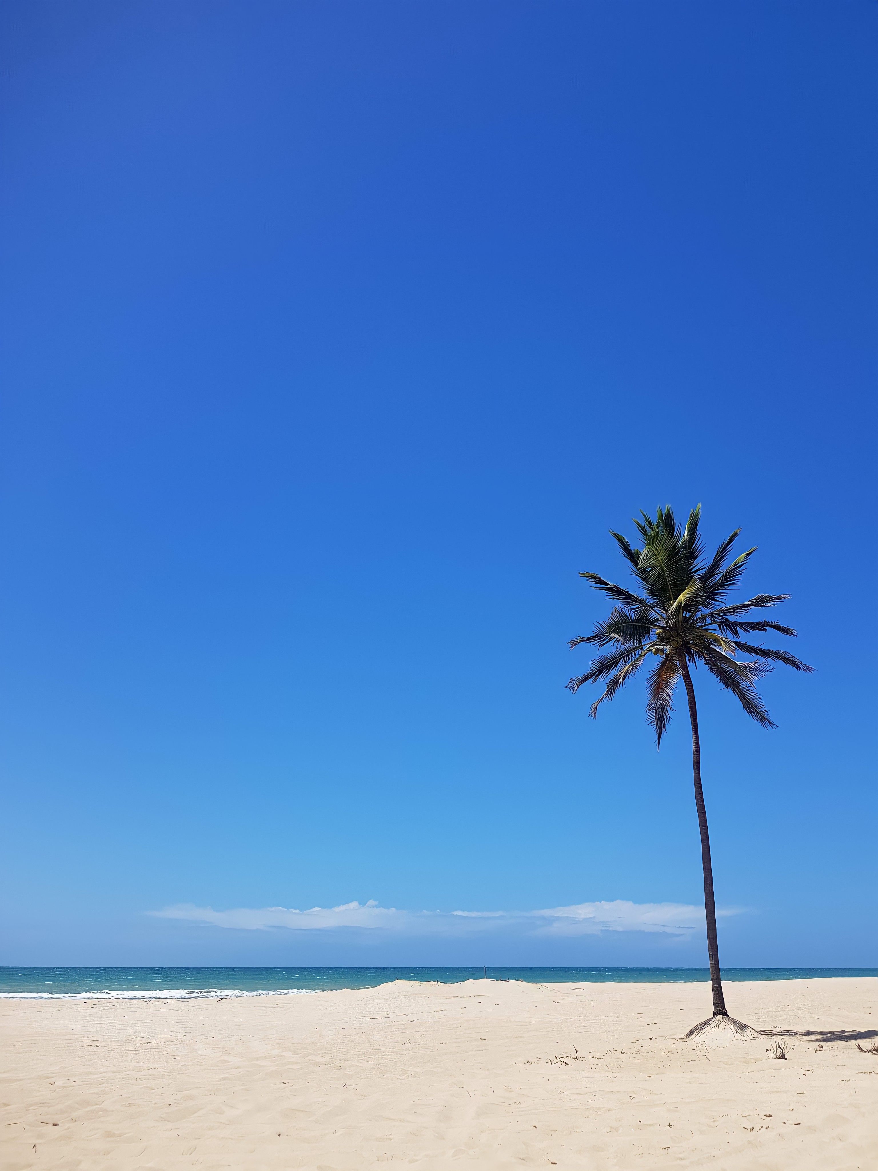 Fortaleza, Brasil: vuelos directos desde Madrid por 531 euros