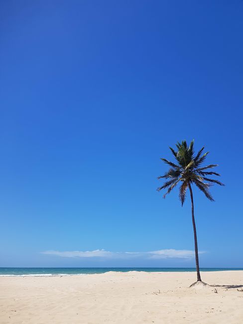 Fortaleza, Brasil: vuelos directos desde Madrid por 531 euros