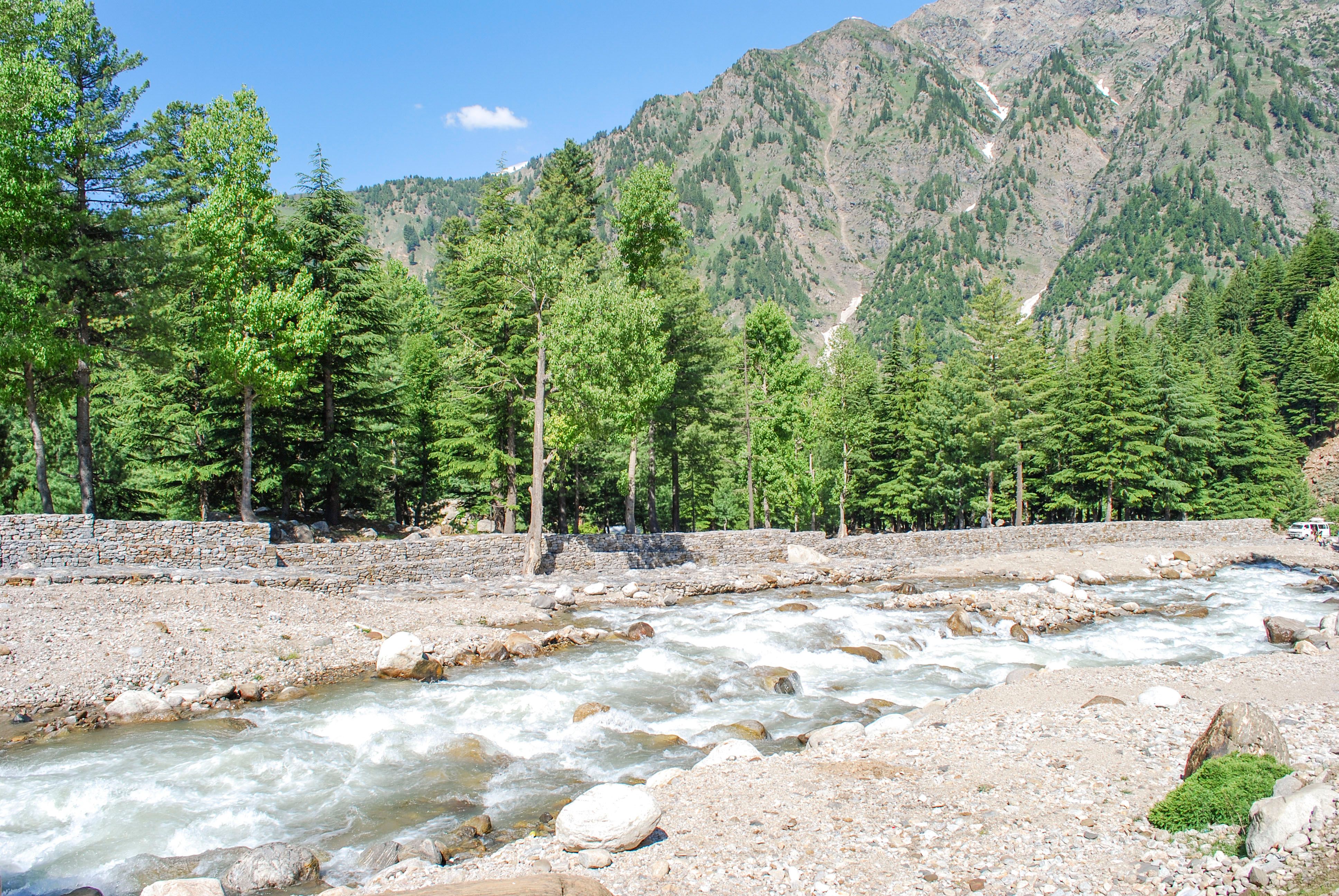 Serene landscape of Naran Valley with flowing river, lush trees, and mountains under blue skies.