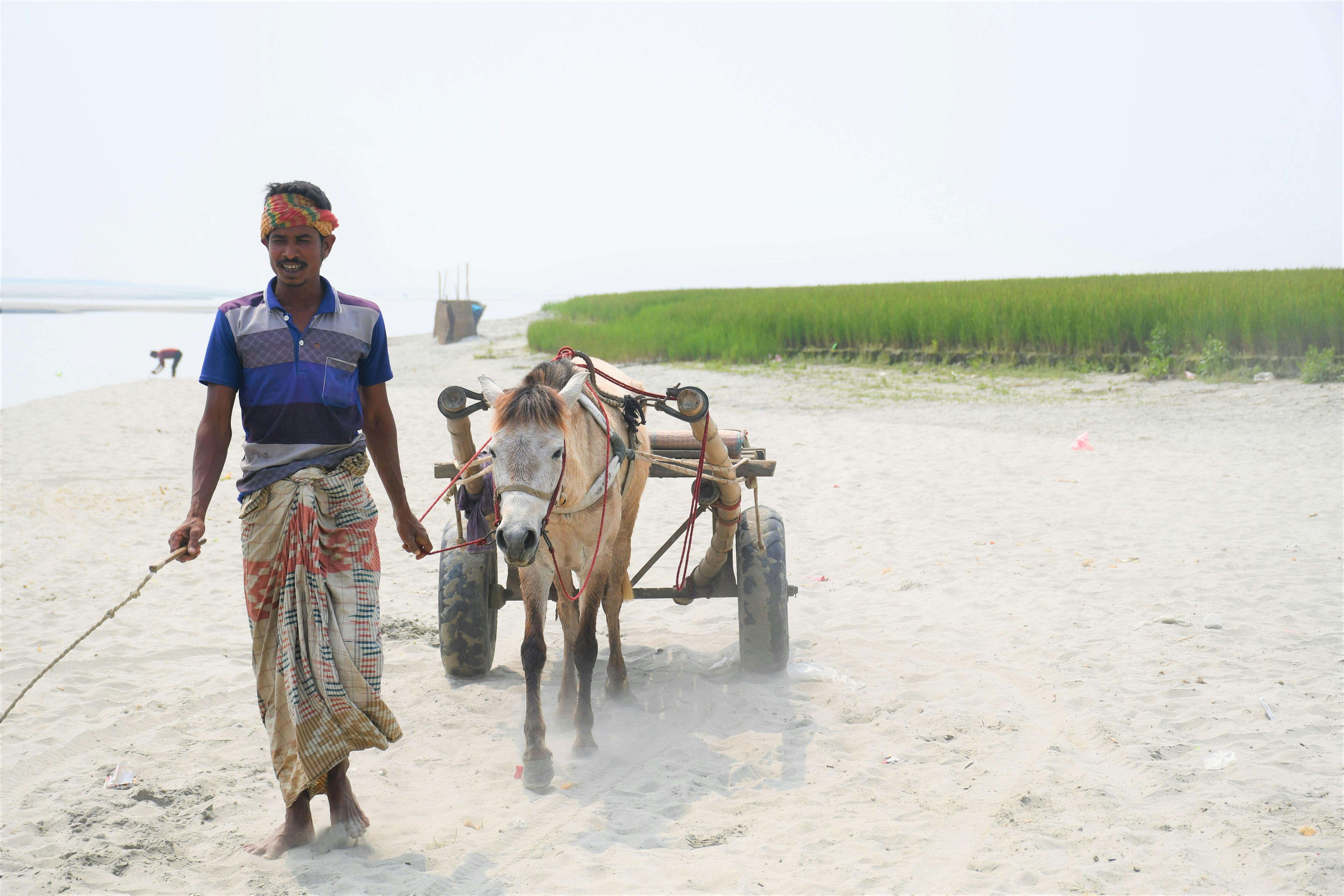 高雄冬季國際旅展盛大開展！400攤位搶寒假旅遊商機，韓國行最低