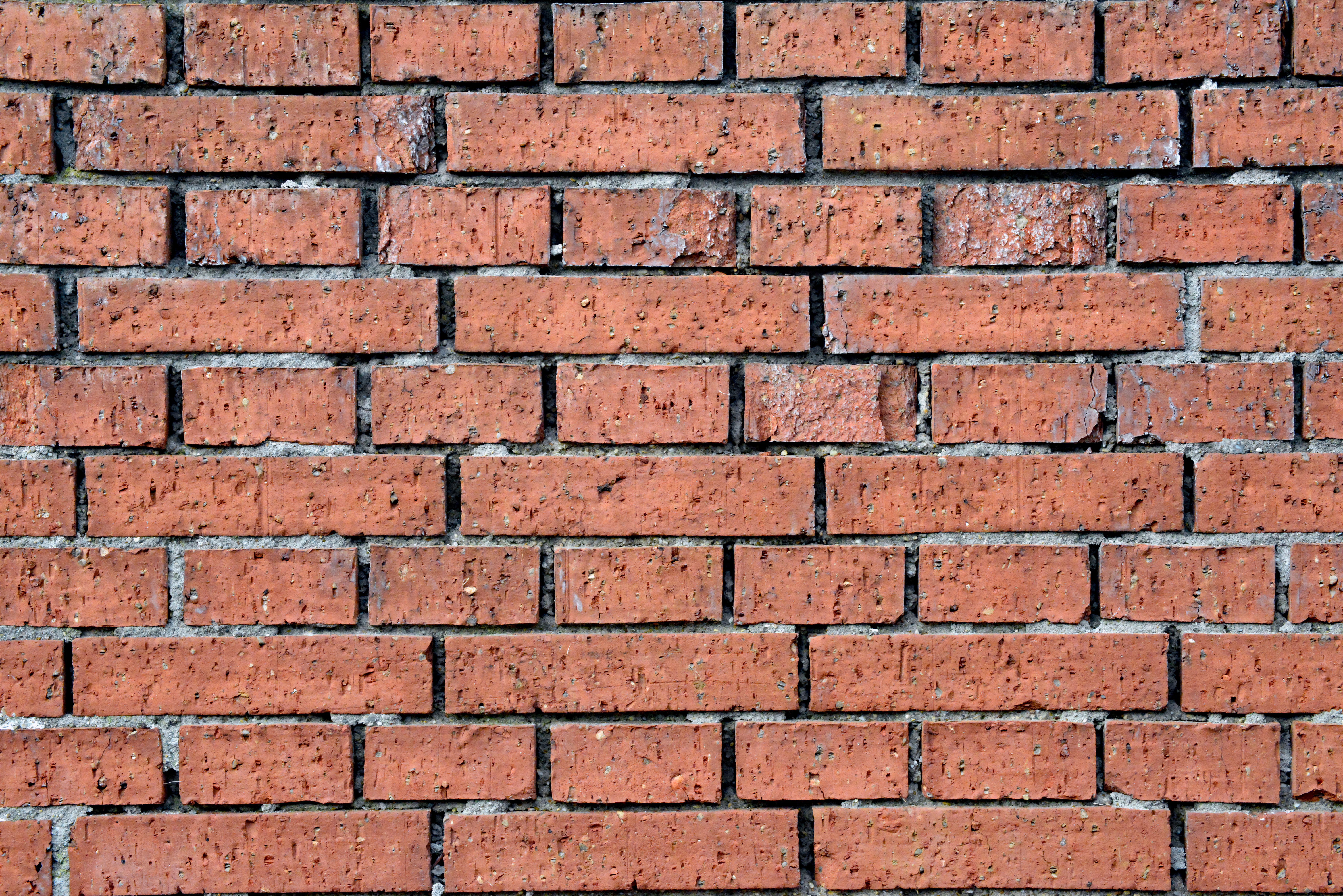 Kostenlos Detaillierter Hintergrund aus roter Backsteinmauer, perfekt für Textur- und Designzwecke. Stock-Foto