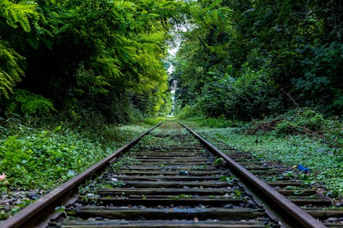 Free Railway Surround by Trees Stock Photo