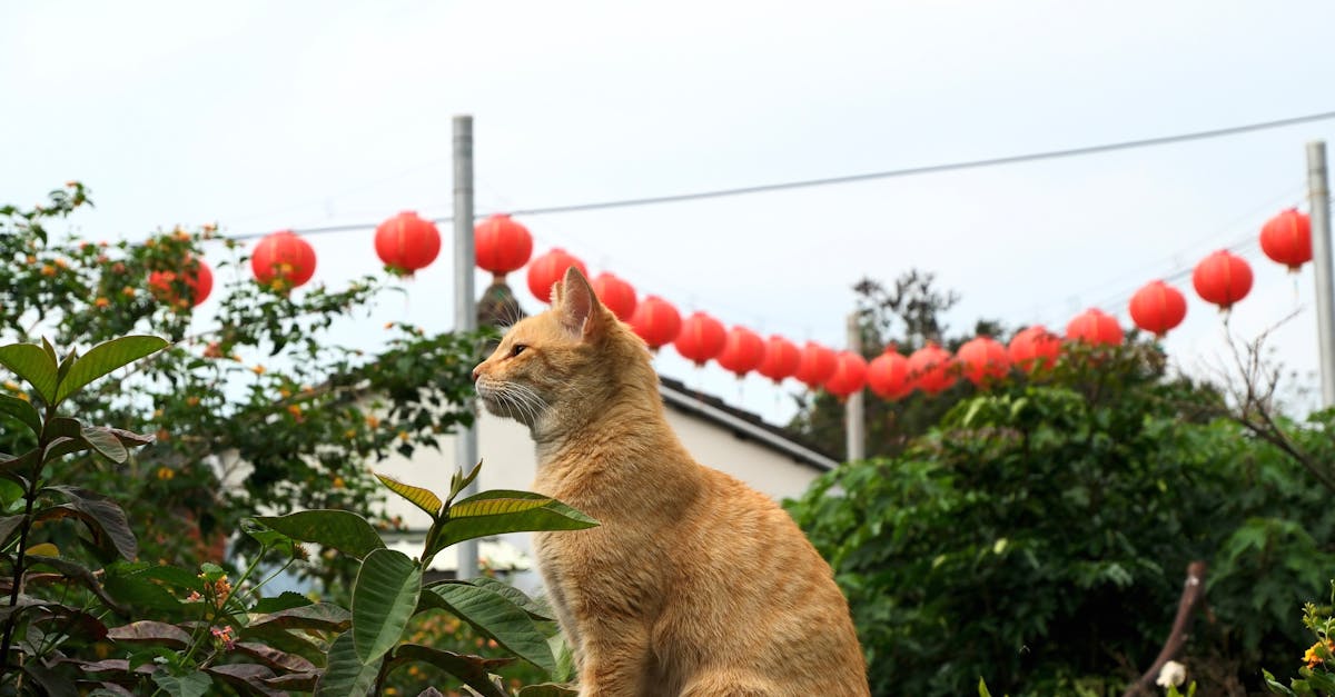 國際局勢劇變,專家深入解析台灣因應策略