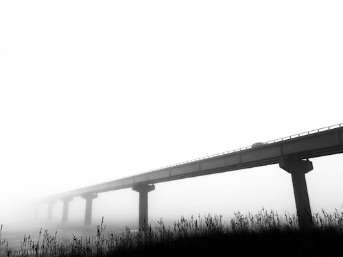 Free stock photo of bridge, fog