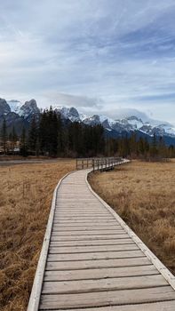 Wooden boardwalk through autumn fields leading to snow-capped mountains