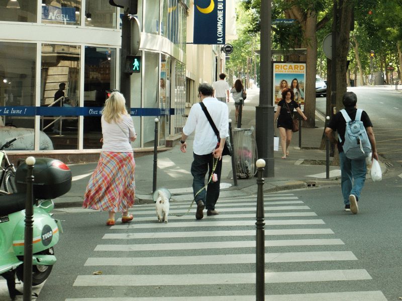 Promenade des Anglais Yürüyüşü