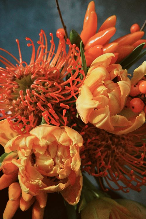 Free Close-up of an orange floral bouquet featuring tulips and pincushion proteas. Stock Photo