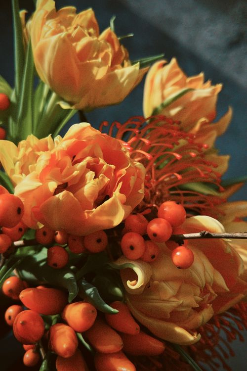Free A vivid bouquet of orange flowers and berries, captured in soft focus. Stock Photo