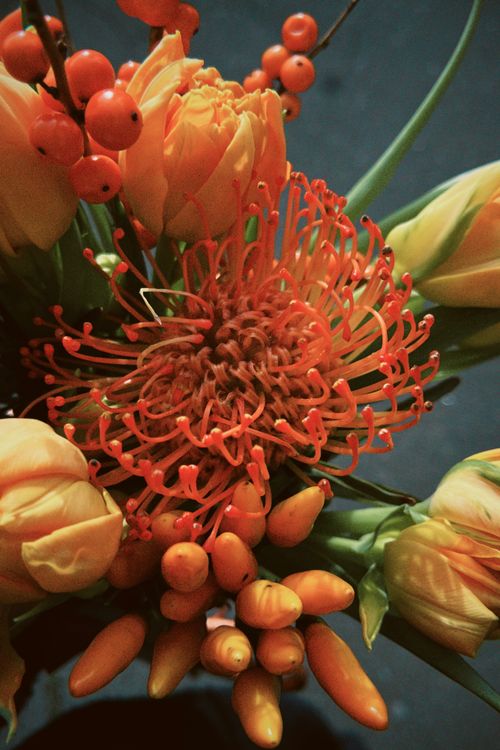 Free An artistic close-up of a vibrant orange floral bouquet with berries, perfect for nature-themed projects. Stock Photo