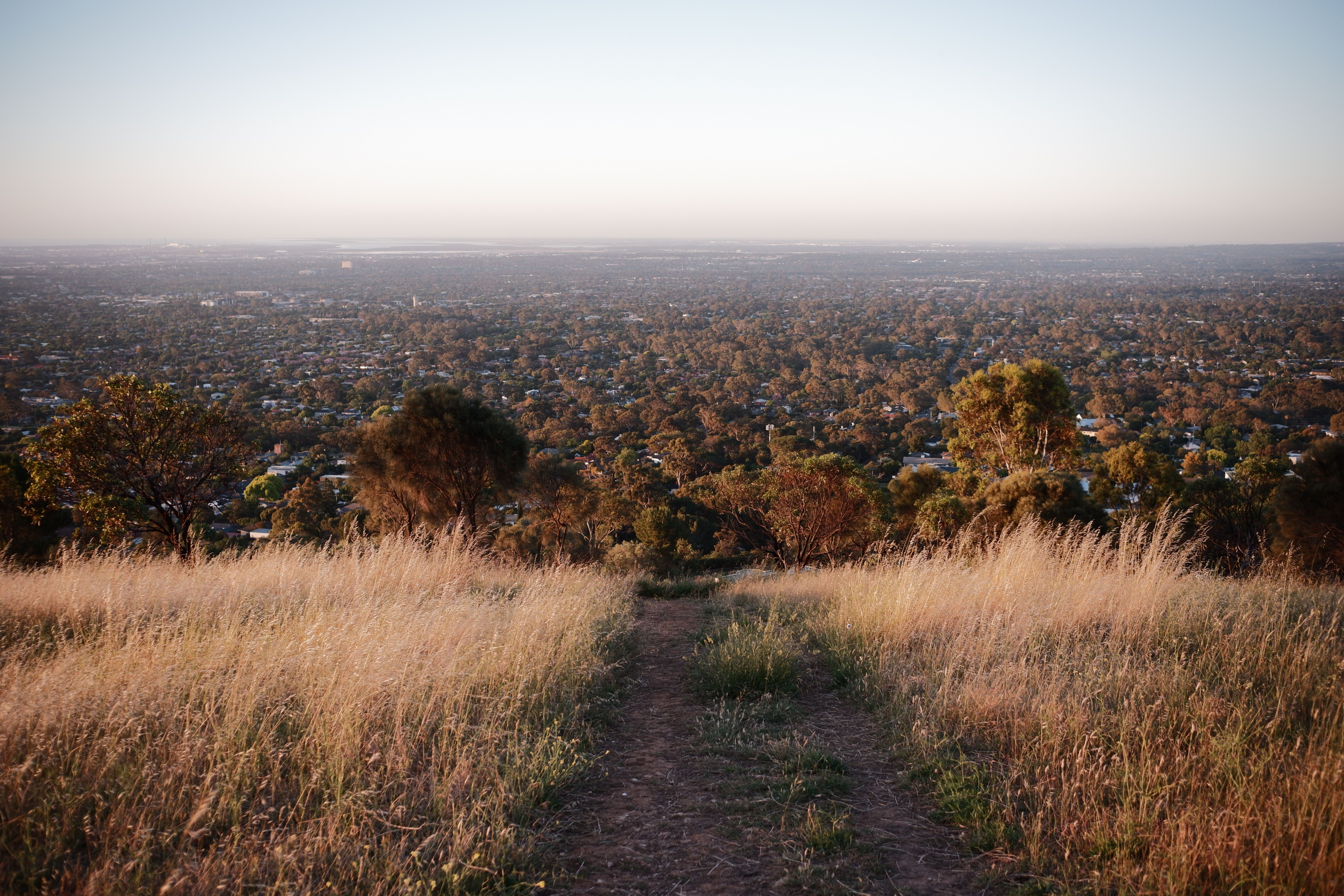 Mount Lofty Summit