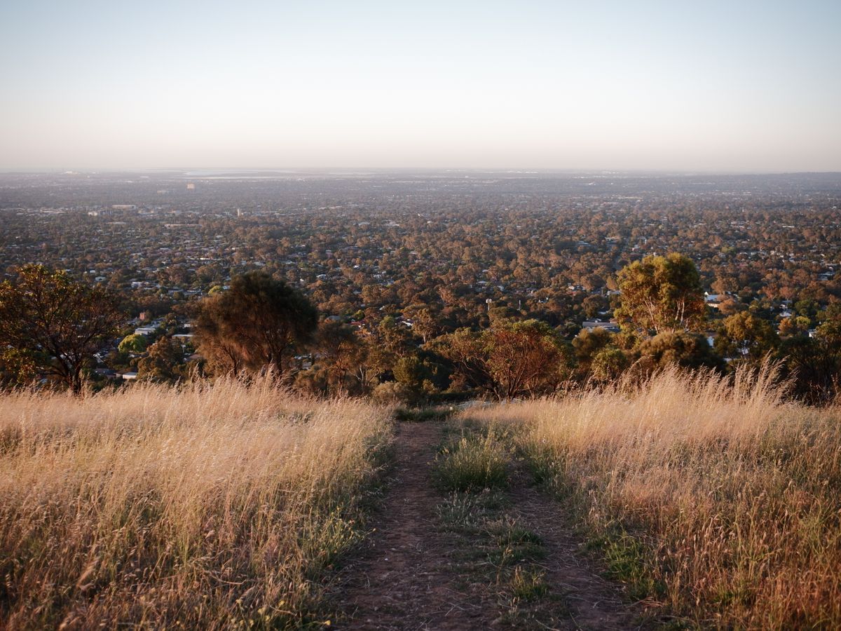 5 Day Healing w/ Horses & Wellness Retreat in Victoria, Australia 2