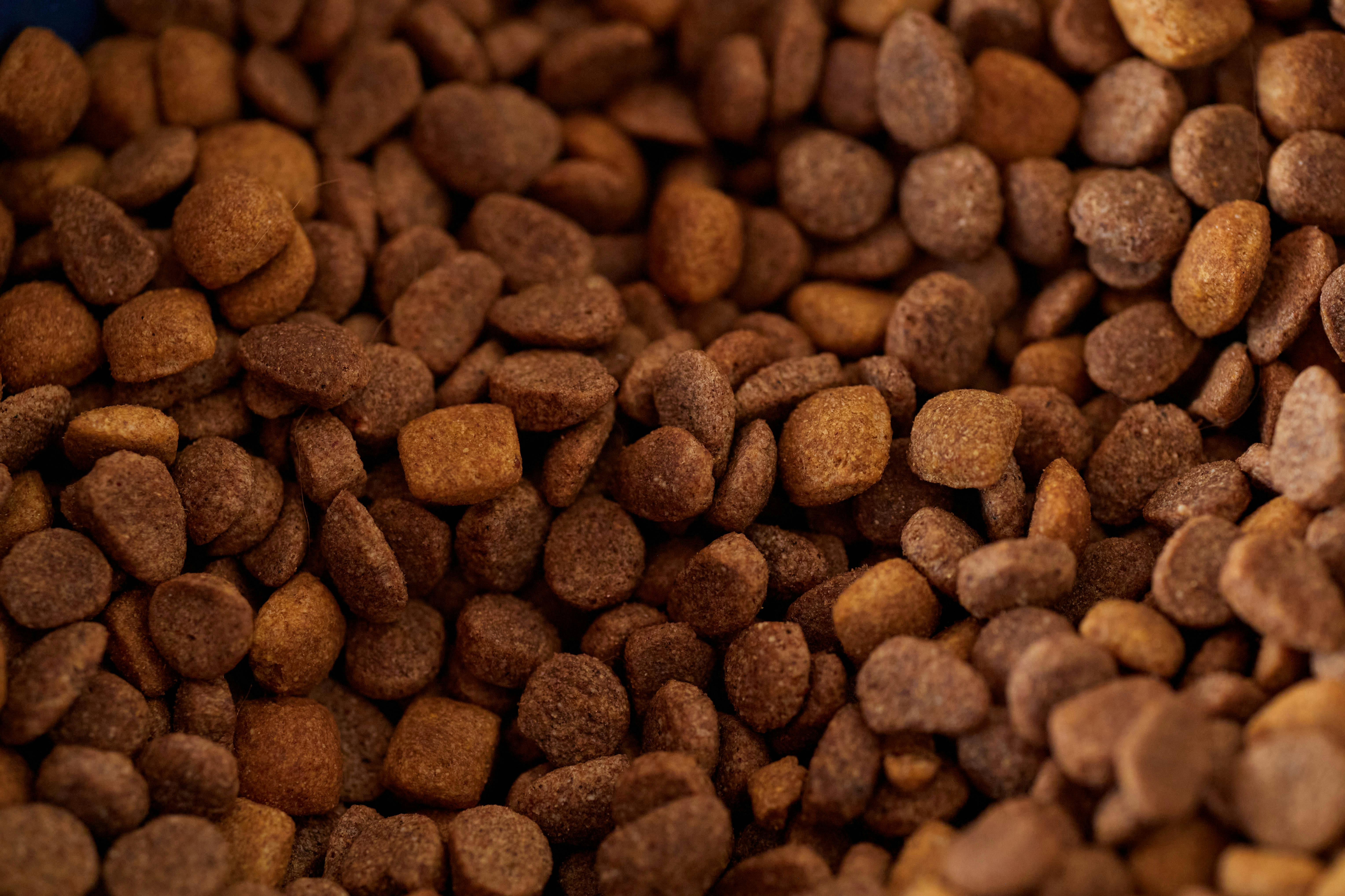 A detailed close-up of brown dry dog food kibble in various shapes and sizes.