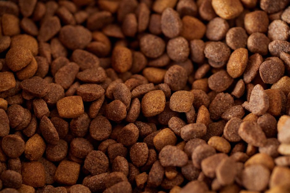 Wellness CORE vs Taste of the Wild: High Protein Dog Food Showdown for Active Breeds An appetizing close-up of brown dry pet food kibble, perfect for pet nutrition imagery.