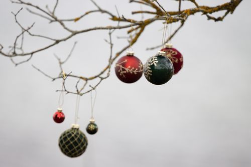 Free Elegant Christmas ornaments hang from a tree branch, capturing a festive winter scene. Stock Photo