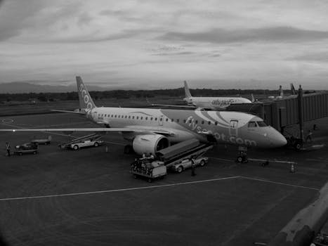 Black and white image of commercial aircraft at a terminal with visible branding.