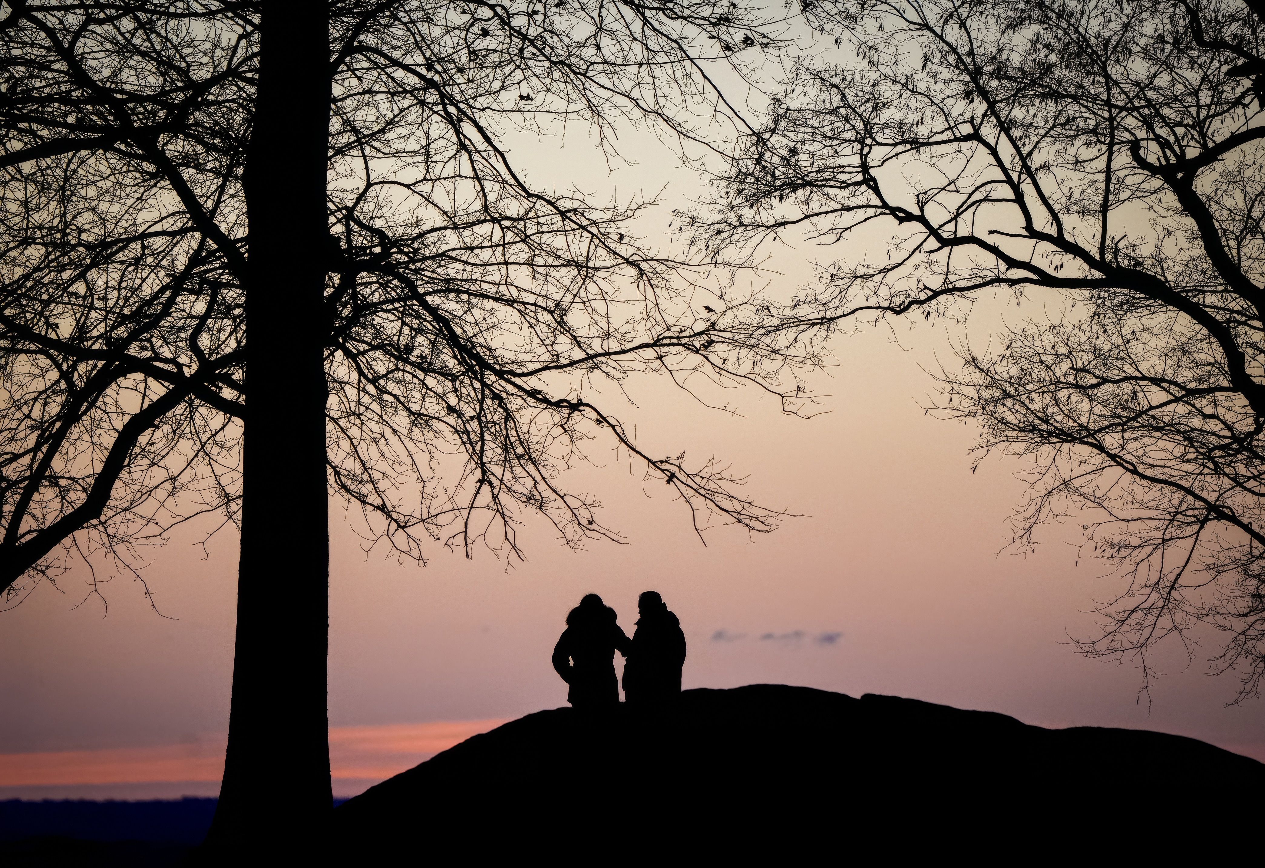 Daily Horoscope: April 29: Relationships Reach a Breaking Point — Photo by Cara Denison on Pexels