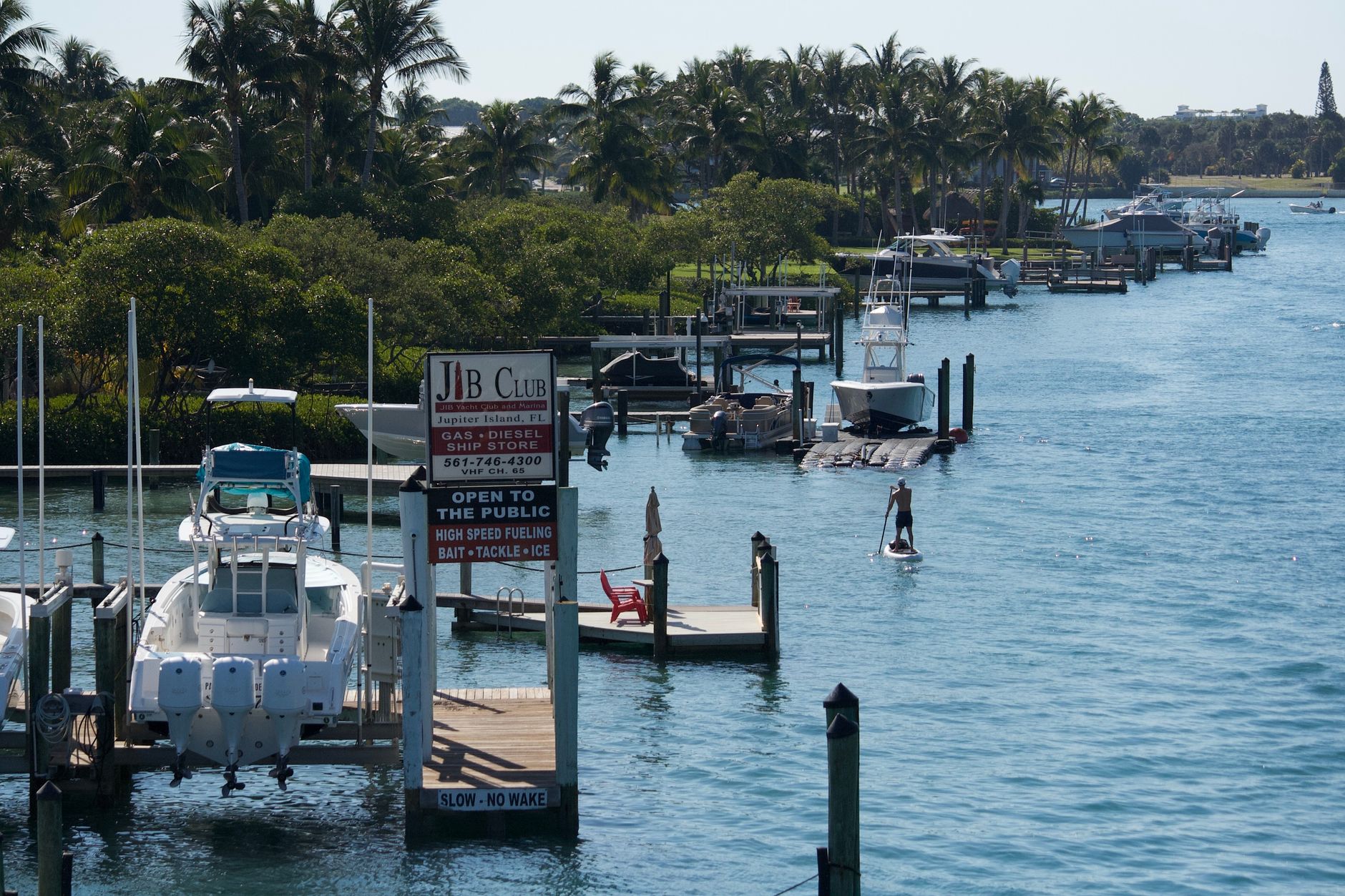 A picturesque marina with boats, palm trees, and a paddle boarder under clear skies.