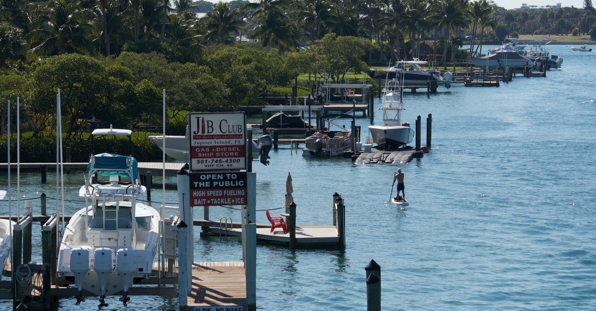 A picturesque marina with boats, palm trees, and a paddle boarder under clear skies.