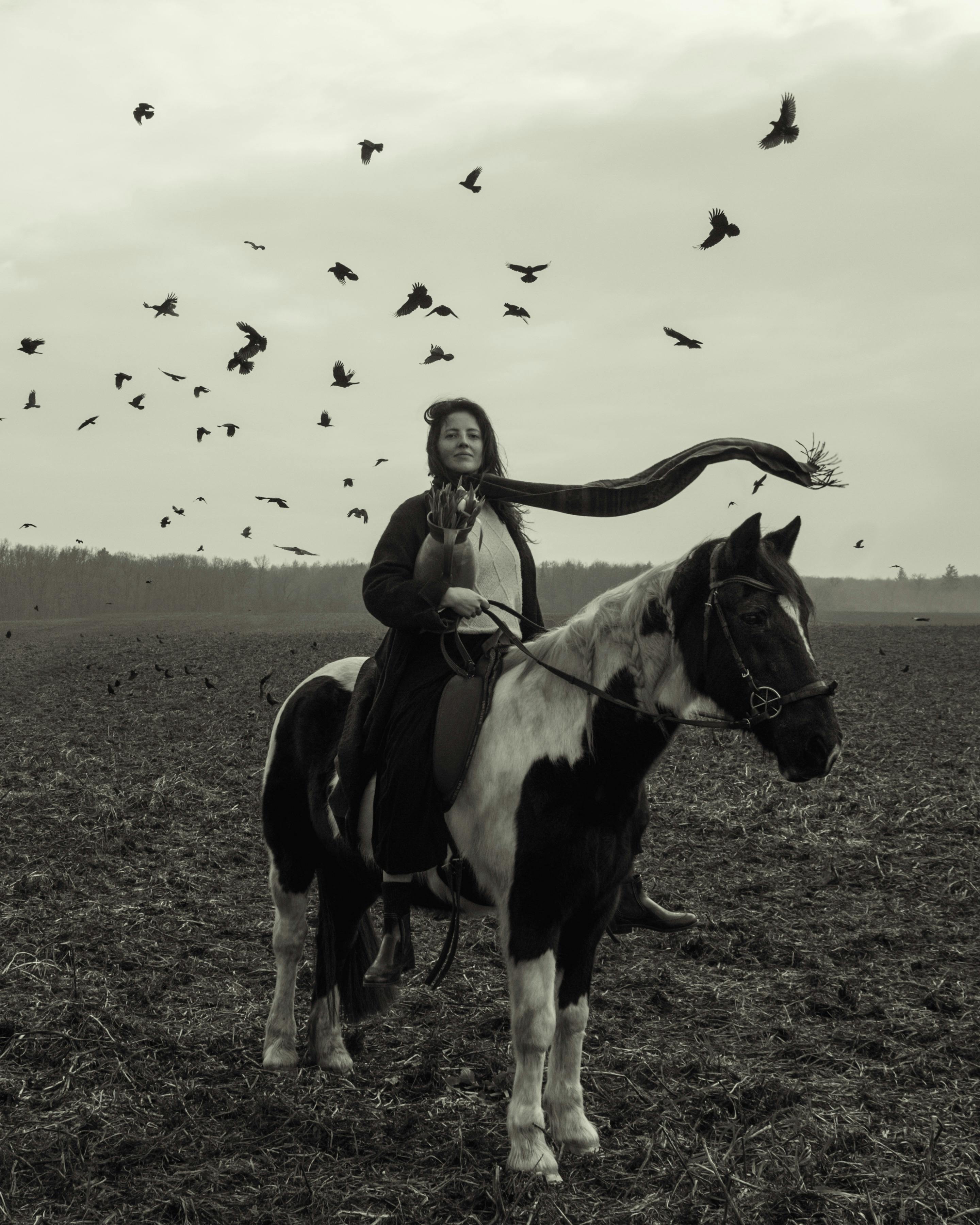 A woman rides a horse in a field with birds flying above, creating a serene scene.