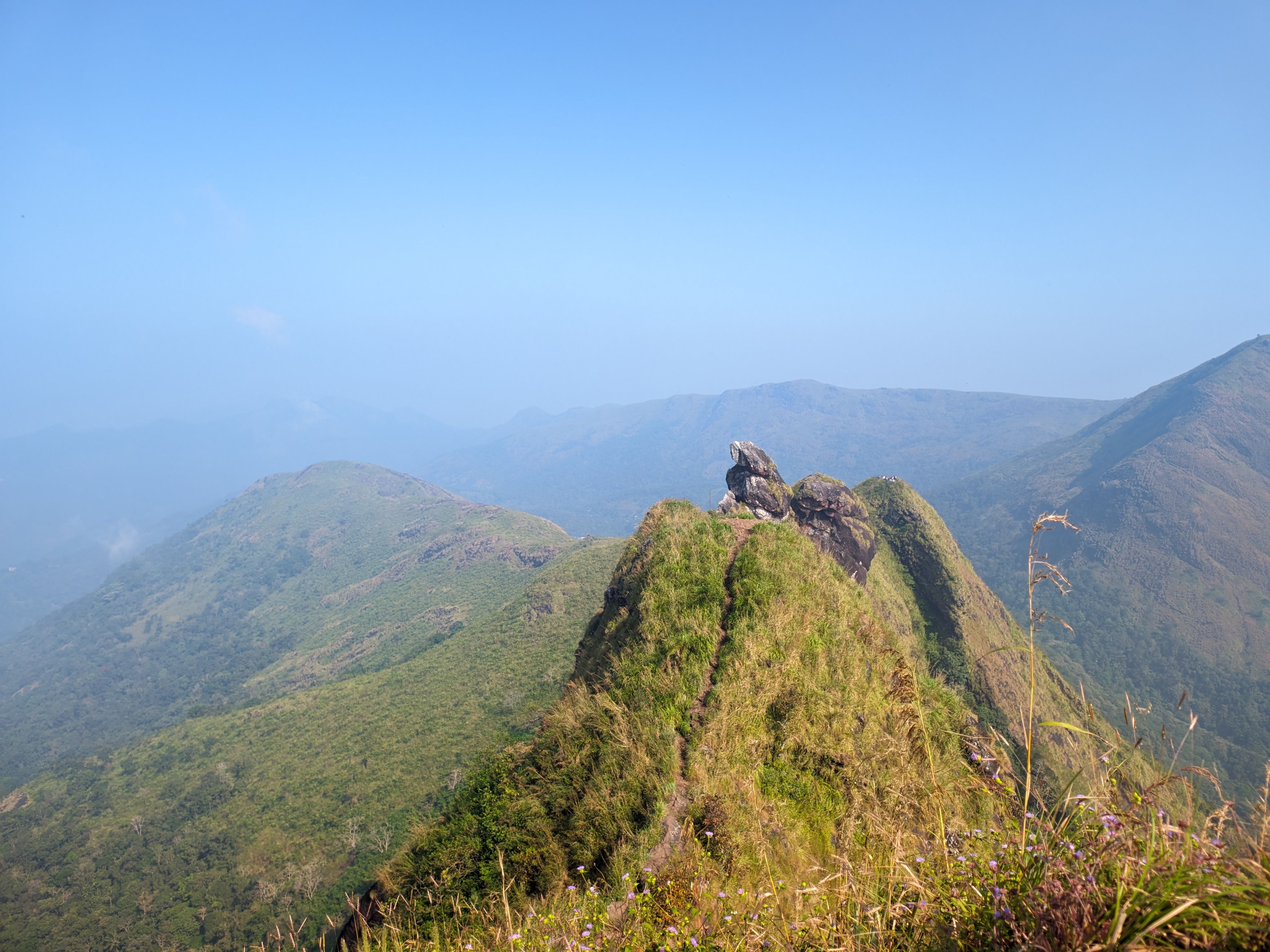 Majestic mountain peaks covered in greenery with a clear blue sky backdrop.