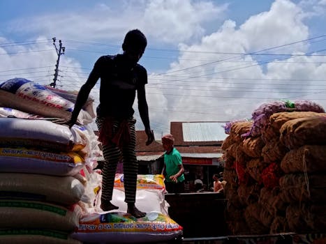 Silhouette of workers stacking large sacks at an outdoor market under a bright sky.