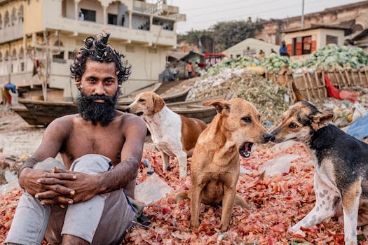 Photo by Rakibul alam khan