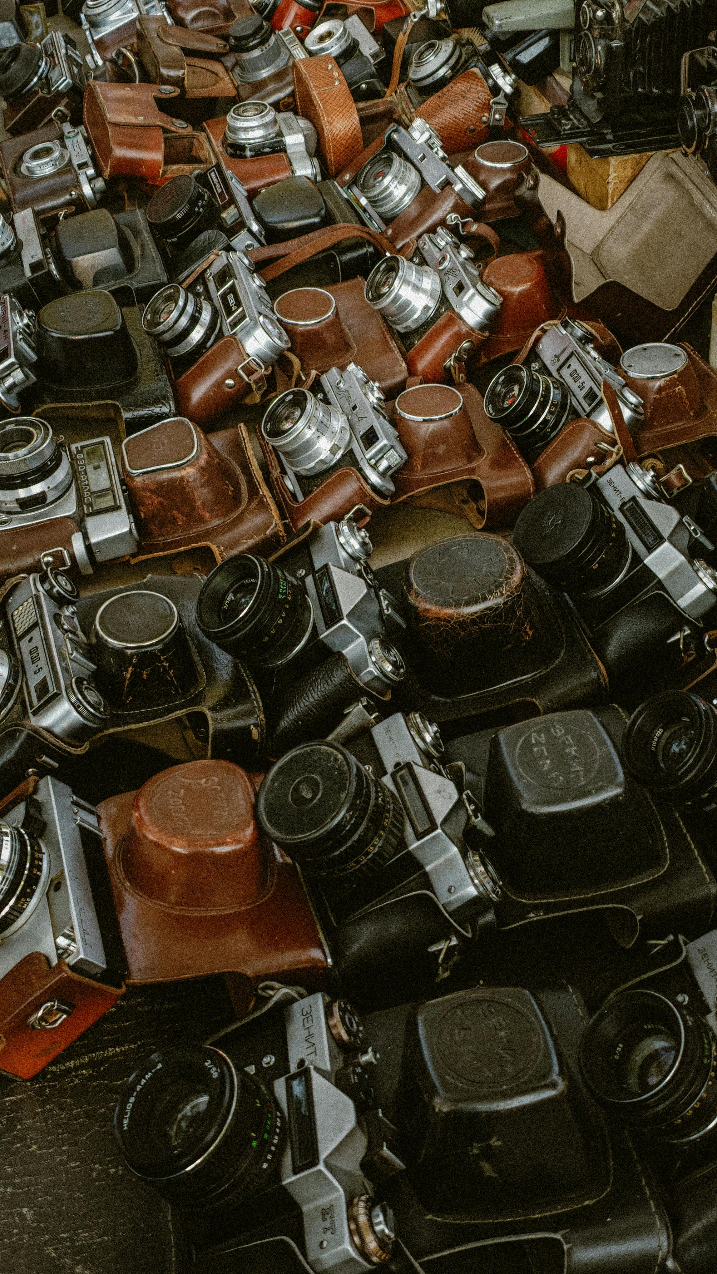 A collection of vintage cameras with leather cases beautifully arranged, showcasing classic photography history.