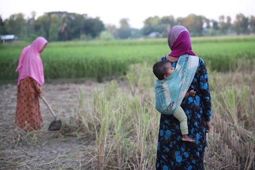 Una donna lavora in una risaia con un neonato in una fascia, a testimonianza della vita rurale in Bangladesh.