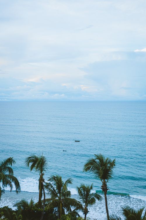 Free A serene tropical beach scene with palm trees and a clear blue ocean under a cloudy sky. Stock Photo