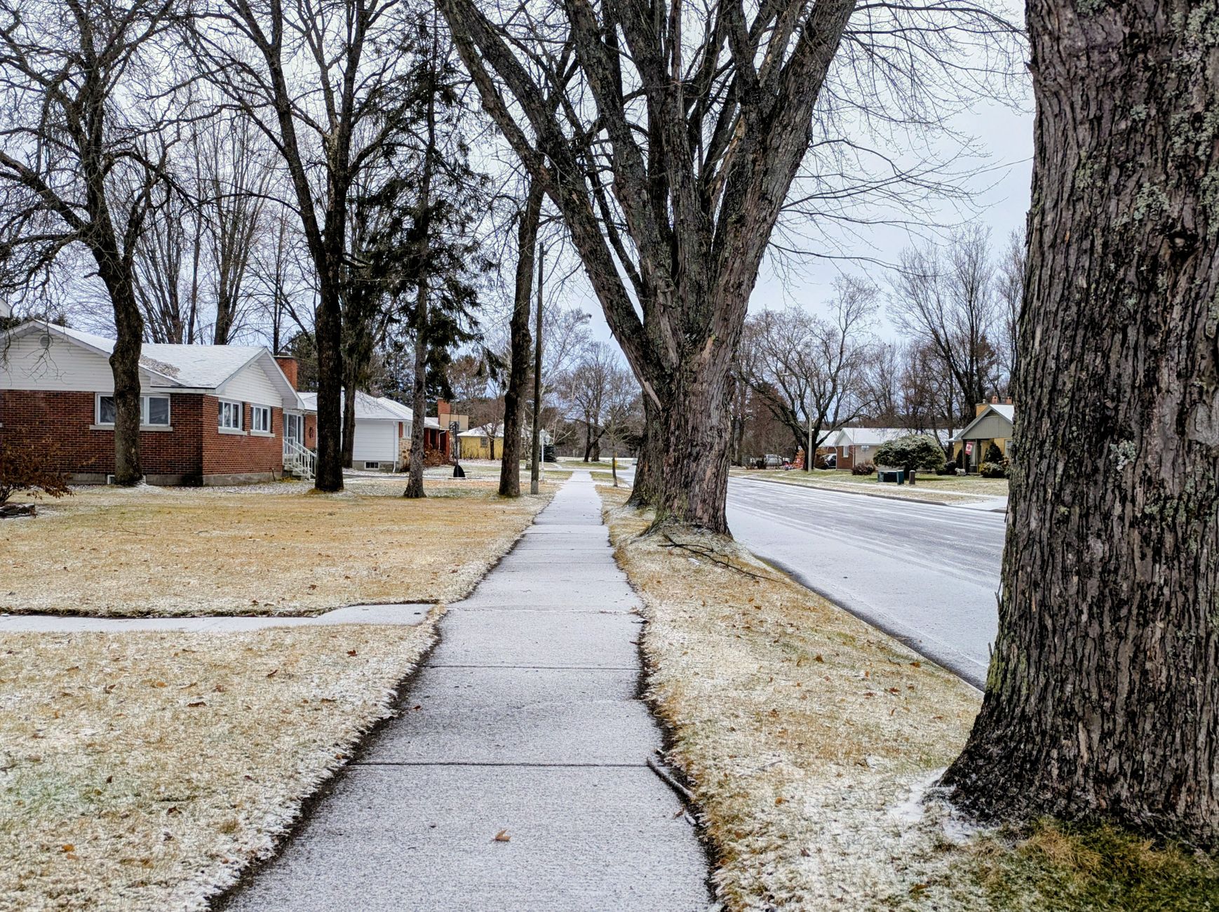 When Does It Actually Start Snowing in the West Metro?