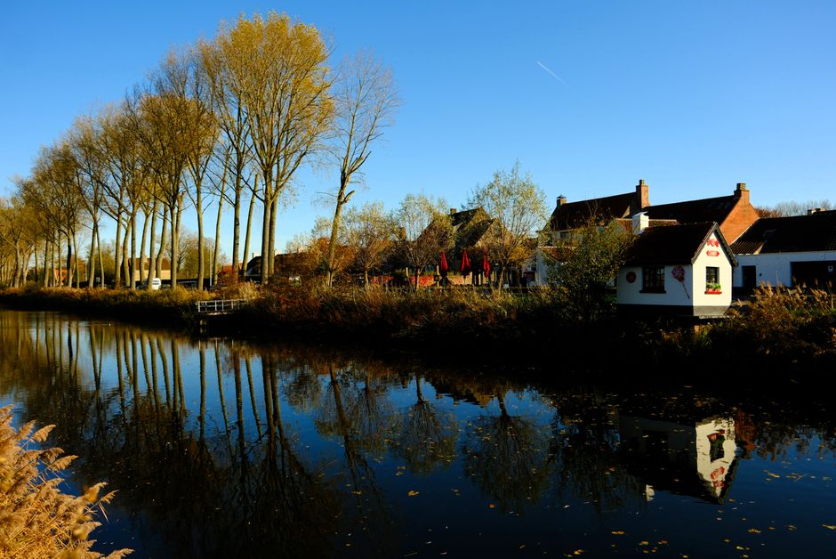 Scène d'automne paisible avec des arbres et des bâtiments se reflétant dans le canal de Damme.
